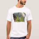 Zoek naar ijslandse paarden tshirts Dier