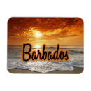 Zoek naar barbados magneten Beach