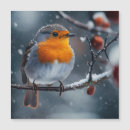 Zoek naar roodborstje kaarten Winter
