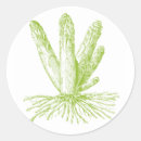 Zoek naar asperge stickers Groenten