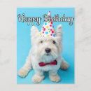 Zoek naar grappige hond gelukkige verjaardag briefkaarten Voor iedereen