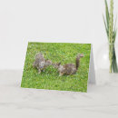 Zoek naar pixel kaarten Schattig