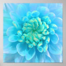 Zoek naar dahlia kunst Floreel