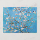 Zoek naar almond blossom briefkaarten Schilderij