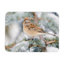 Zoek naar ceders kaarten Vogel