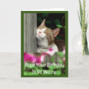 Zoek naar poezen posters Humor