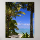 Zoek naar paradijs eiland posters Palmboom