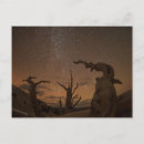 Zoek naar vallende ster briefkaarten Ruimte