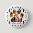 Zoek naar hond buttons Voor huisdieren