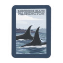 Zoek naar orca magneten Walvissen