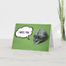 Zoek naar hamster kaarten Elk persoon