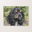 Zoek naar cocker spaniel puzzels Zwart