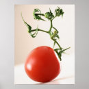 Zoek naar tomaat posters Voedsel