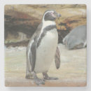 Zoek naar pinguin onderzetters Familie