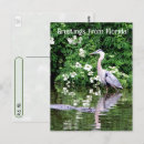 Zoek naar reptiel briefkaarten Vogel