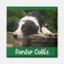 Zoek naar zwart witte hond magneten Puppy