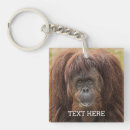Zoek naar chimpansee sleutelhangers Wild