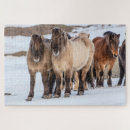 Zoek naar ijslands paard puzzels Winter