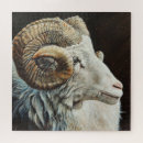 Zoek naar schaap puzzels Zwarte schapen