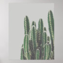 Zoek naar cactus posters Natuur