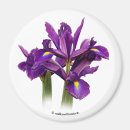 Zoek naar purple magneten Paarse bloemen