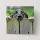 Zoek naar duitse herder buttons Schattig