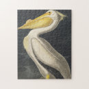 Zoek naar audubon puzzels Vogels uit amerika