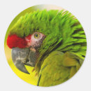 Zoek naar profiel stickers Vogel