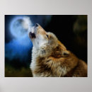 Zoek naar wolf huilen posters Nacht
