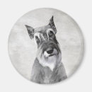 Zoek naar schnauzer magneten Puppy