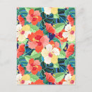 Zoek naar hibiscus briefkaarten Palm
