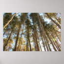 Zoek naar natuur landschap posters Kalm