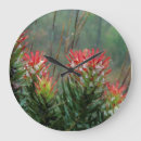 Zoek naar bloemen afbeeldingen klokken Dag