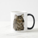 Zoek naar maine coon cat mokken Tabby