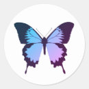 Zoek naar witte vlinder stickers Insect