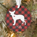 Zoek naar chihuahua ornamenten Kerstmis