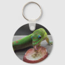 Zoek naar gekko sleutelhangers Dier