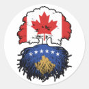 Zoek naar kosovo vlag stickers Kosovar