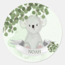 Zoek naar koala stickers Jongen