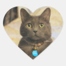 Zoek naar russische blauwe kat stickers Feliene