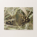 Zoek naar bont puzzels Dieren