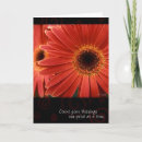 Zoek naar koraal kaarten Gelukkig