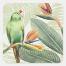 Zoek naar oranje vogel stickers Bladeren