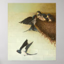 Zoek naar moerassen posters Vogel