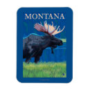 Zoek naar vintage travel magneten Lantern