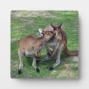 Zoek naar dieren fotoplaat Groen