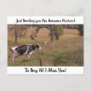 Zoek naar velden briefkaarten Vakantie