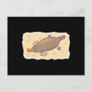 Zoek naar vogelbekdier briefkaarten Dierenvriend