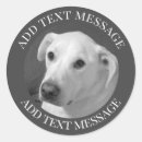 Zoek naar mooi stickers Elk persoon