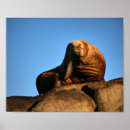 Zoek naar denker posters Wild